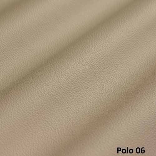 Polo 06